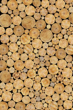 Stacked Logs Background clipart