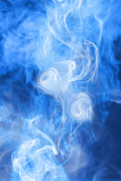 Kék füst virág — Stock Fotó