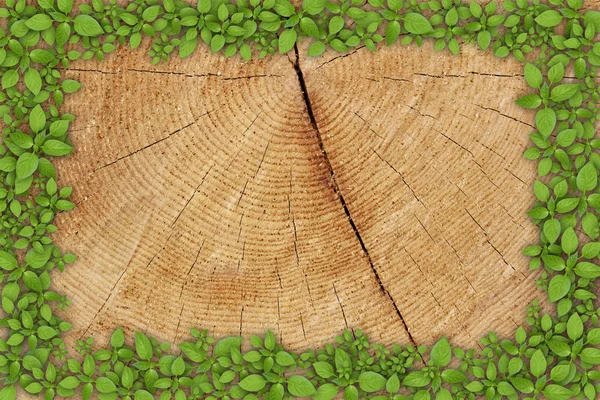 Stare drewniane tła z kwiatowy — Zdjęcie stockowe