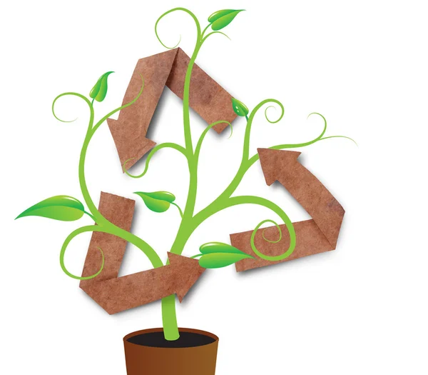 Reciclar símbolo con planta joven, aislado — Foto de Stock