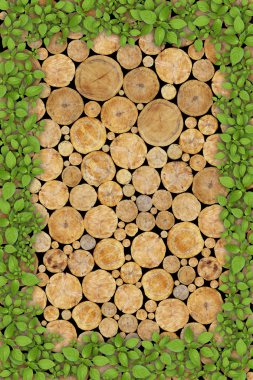 Stacked Logs Background clipart