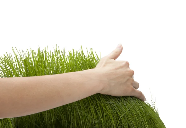 Mão acima da grama verde — Fotografia de Stock