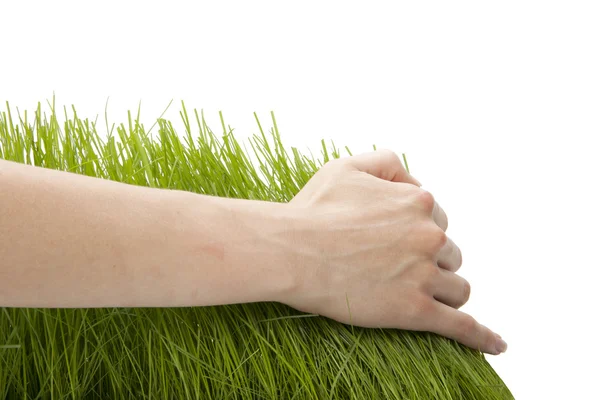 Hand above green grass — Stock Photo, Image