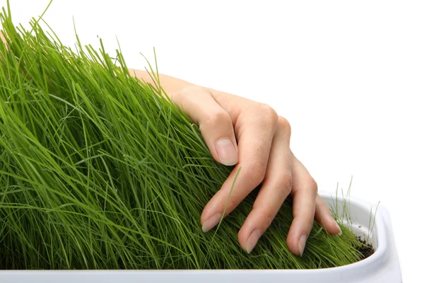 Ręka nad trawa zielony — Zdjęcie stockowe
