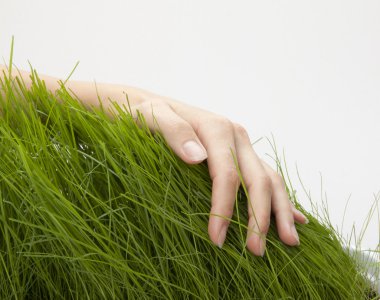 Hand above green grass clipart