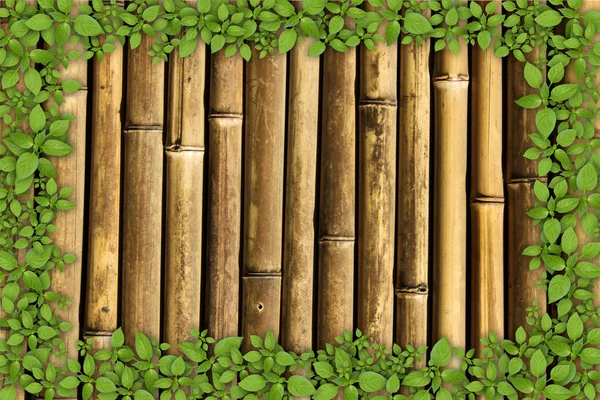 Bamboo background with green plant border — Stock Photo, Image