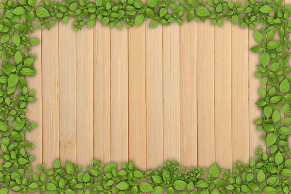 Ξύλινο υπόβαθρο με πράσινο φυτό πλαίσιο — Φωτογραφία Αρχείου