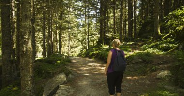 Val masino trekking