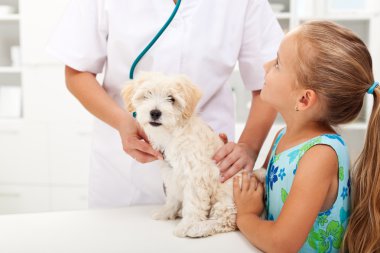 Little girl and her fluffy pet at the vet clipart