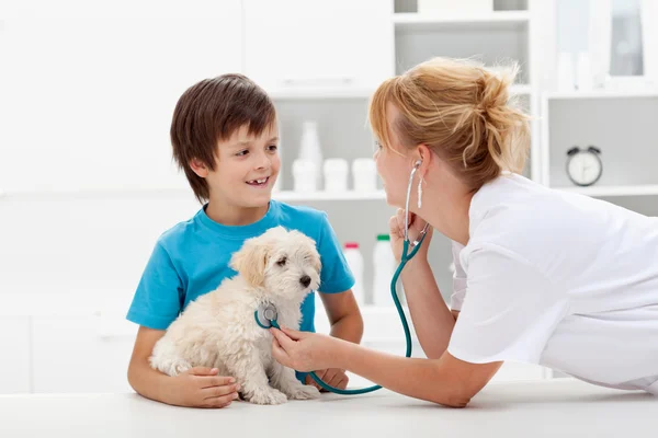 Jongen en zijn pluizig hond bij de veterinaire checkup — Stockfoto