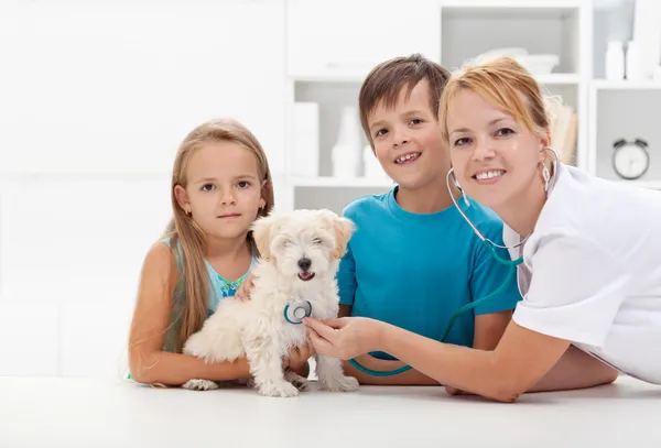 Crianças levando seu animal de estimação para o veterinário — Fotografia de Stock