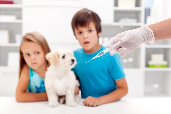Crianças preocupadas com seu animal de estimação no veterinário — Fotografia de Stock