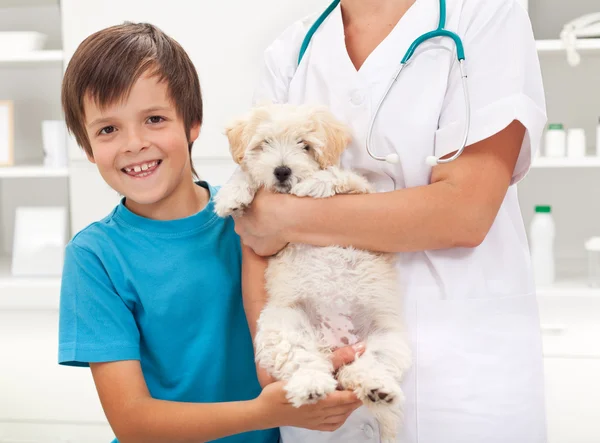 Menino e seu cão amado no veterinário — Fotografia de Stock