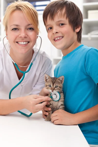 Мальчик и его котенок в ветеринарном кабинете — стоковое фото