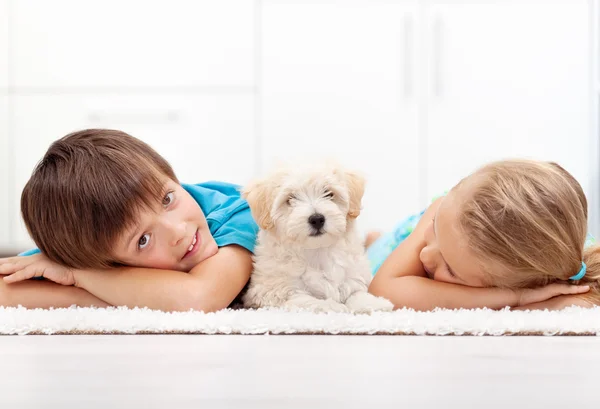 Crianças em casa com seu novo animal de estimação — Fotografia de Stock