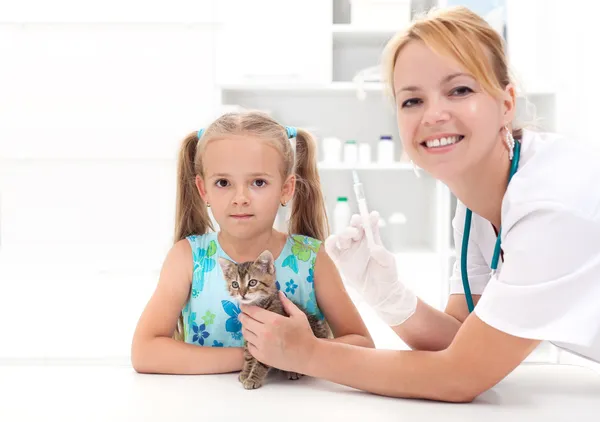 Meisje en zijn kitten op veterinair gebied — Stockfoto