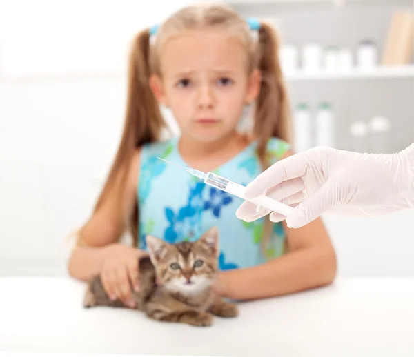 Niña asustada por su gatito recibiendo una vacuna en el veter —  Fotos de Stock