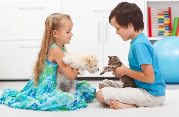 Crianças com seus animais de estimação - cão e gato — Fotografia de Stock