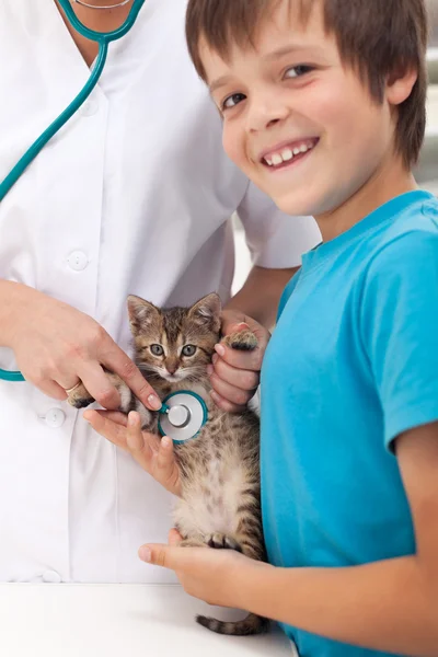 Conceito de cuidados veterinários — Fotografia de Stock