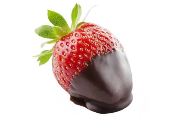 Chocolate dipped strawberries — Stock Photo, Image