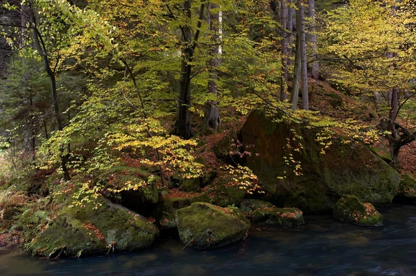 Осень у ручья — стоковое фото