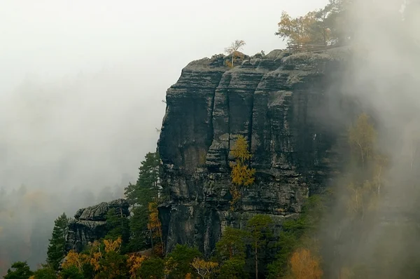 Calcaire d'automne — Photo