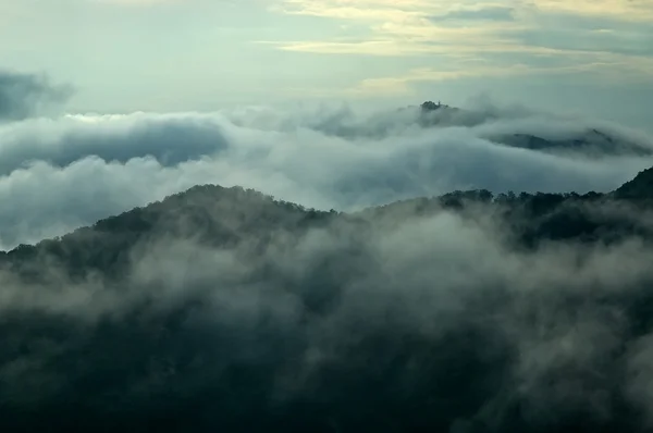 Brouillard dans les montagnes — Photo