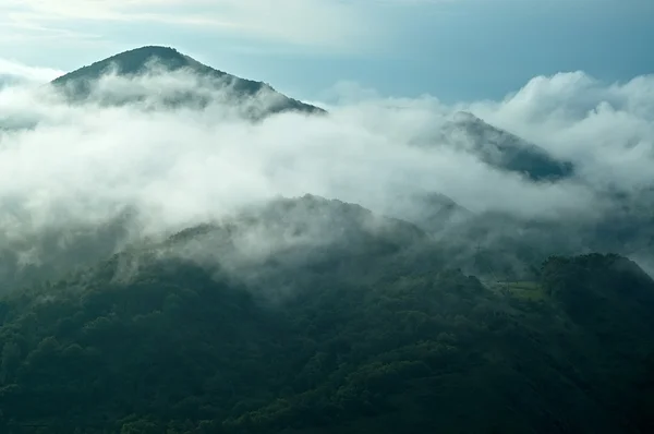 Mist in de bergen — Stockfoto