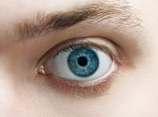 Mata biru — Stok Foto