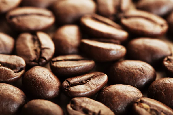 Fall Coffee Bean — Stock Photo, Image