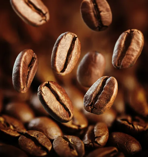 Πτώση φασολιών καφέ — Φωτογραφία Αρχείου