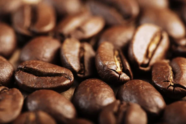 秋のコーヒー豆 — ストック写真