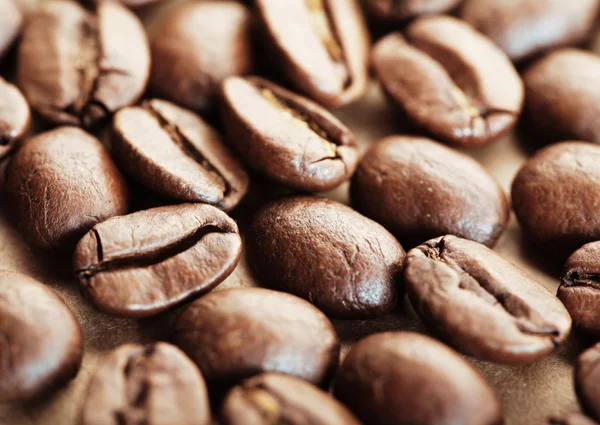 秋のコーヒー豆 — ストック写真