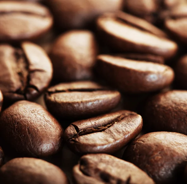 Grano de café marrón —  Fotos de Stock
