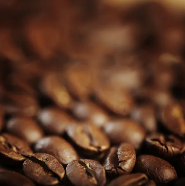 Grano de café de textura —  Fotos de Stock