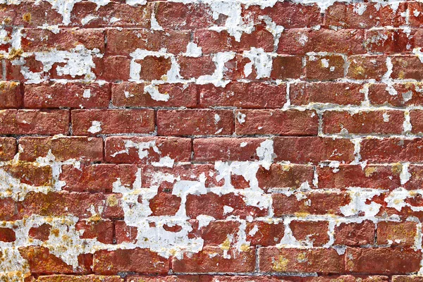 Bakstenen muur — Stockfoto