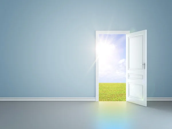 Дверь в поле — стоковое фото