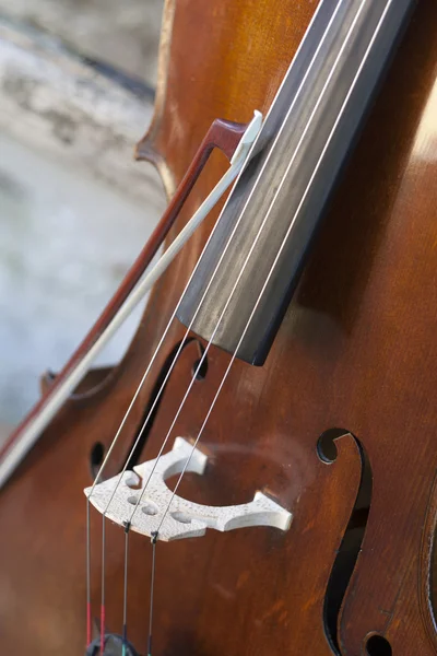 Detalle violonchelo — Foto de Stock
