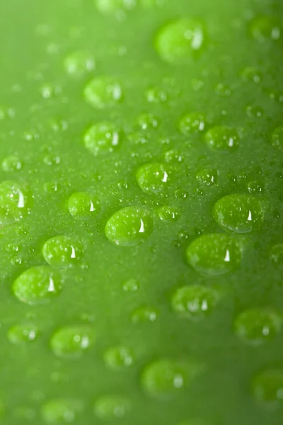 Краплі на листі, зелений фон — стокове фото