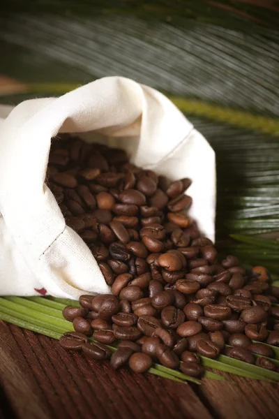 Grains de café torréfiés naturellement, détails — Photo