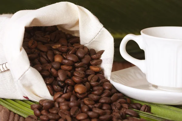 자연스럽 게 볶은 커피 콩, 세부 사항 — 스톡 사진