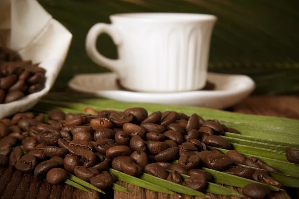 Natuurlijk geroosterde koffie bonen, details — Stockfoto