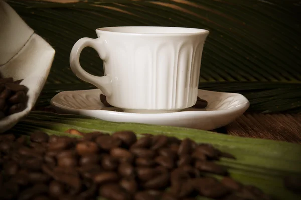 자연스럽 게 볶은 커피 콩, 세부 사항 — 스톡 사진