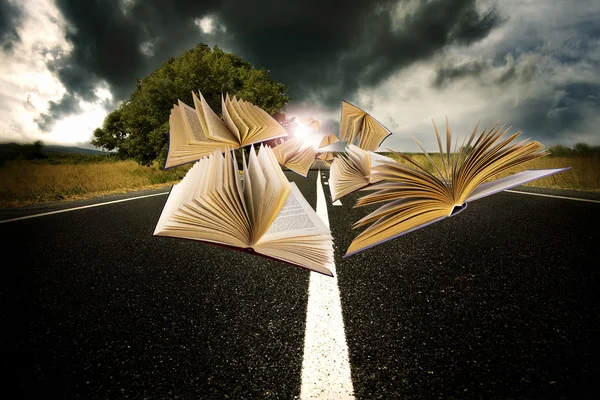 Books flying over the landscape of the road — Stock Photo, Image