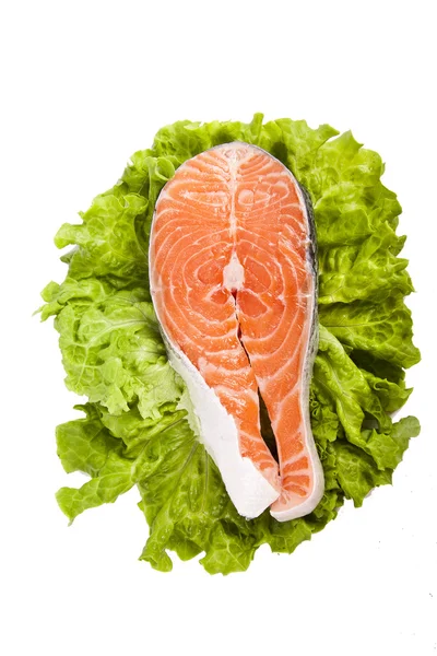 Fish, salmon — Stock Photo, Image