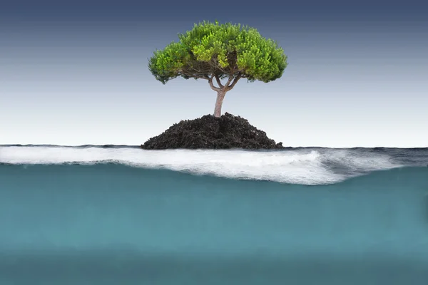 Дерево остров в море — стоковое фото