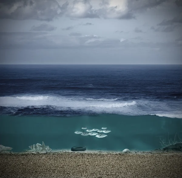 海底 — ストック写真
