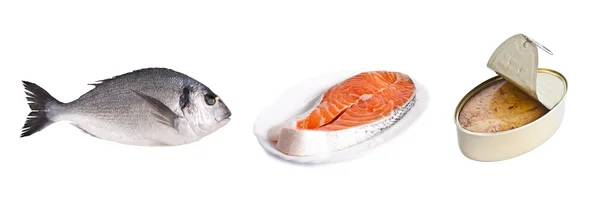Fresh fish, slice of salmon and tuna tin can — Stock Photo, Image