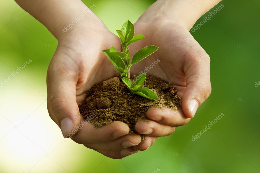 36 710 Tree Planting Stock Photos Images Download Tree Planting Pictures On Depositphotos