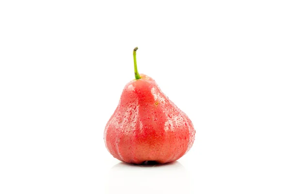 玫瑰苹果 — 图库照片